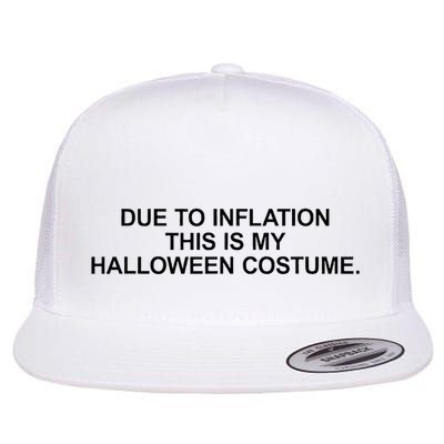 Due To Inflation This Is My Halloween Costume Generic Funny Flat Bill Trucker Hat