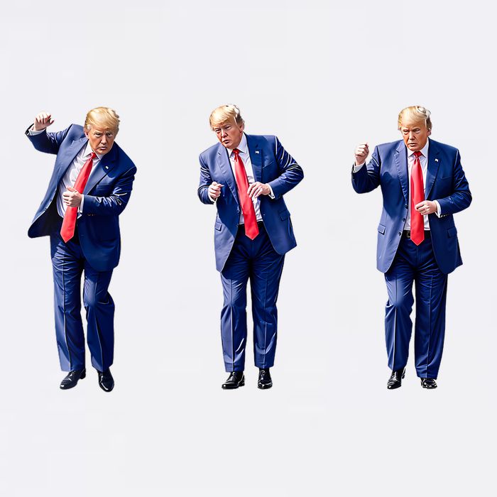 Donald Trump Is Your President Qr Trump Dance (2side) Womens T-Shirt