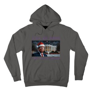 Donald Trump Ill Be Home For Christmas Inauguration Hoodie