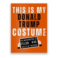 Donald Trump Jail Convict Outfit Anti Trump For Prison 2024 Poster