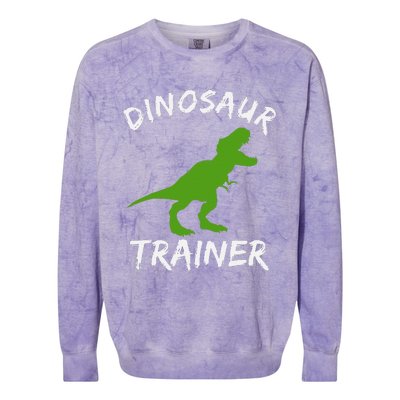 Dinosaur Trainer Lazy Halloween Costume Trex Dino Colorblast Crewneck Sweatshirt