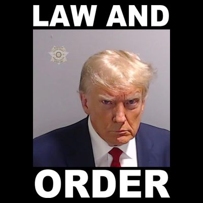 Donald Trump Law And Order Mugshot T-Shirt