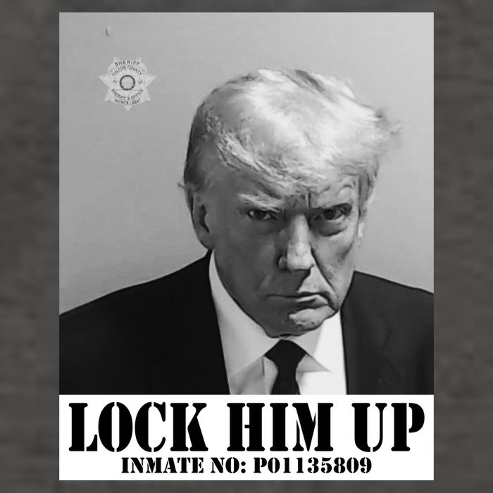 Donald Trump Lock Him Up Inmate Mugshot Vector Backpack
