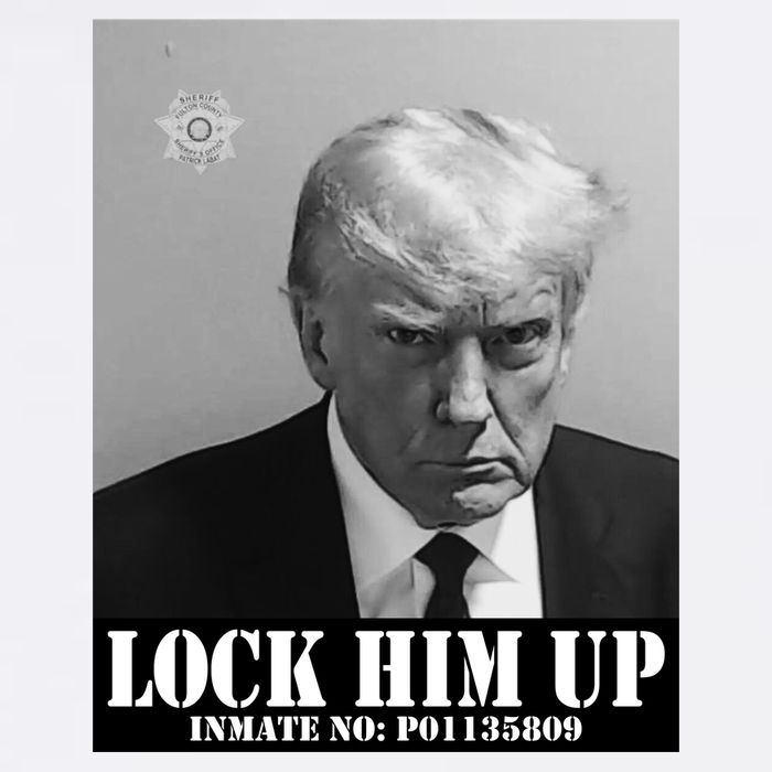 Donald Trump Lock Him Up Inmate Mugshot Garment-Dyed Heavyweight T-Shirt