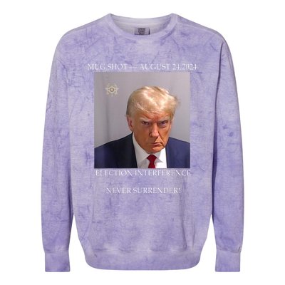 Donald Trump Mug Shot August 24 2024 Election Interference Colorblast Crewneck Sweatshirt