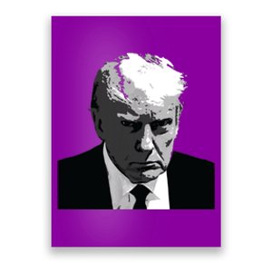 Donald Trump Mug Shot Poster