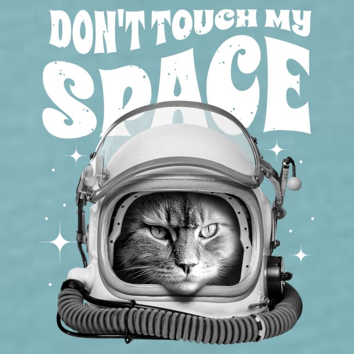 Don't Touch My Space Cat Sueded Cloud Jersey T-Shirt