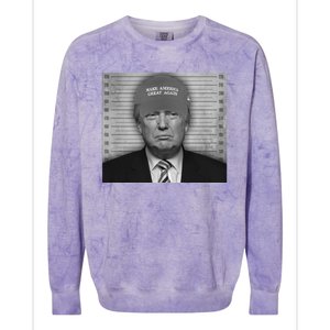 Donald Trump Mugshot Make America Great Again Colorblast Crewneck Sweatshirt