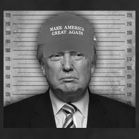 Donald Trump Mugshot Make America Great Again Beanie