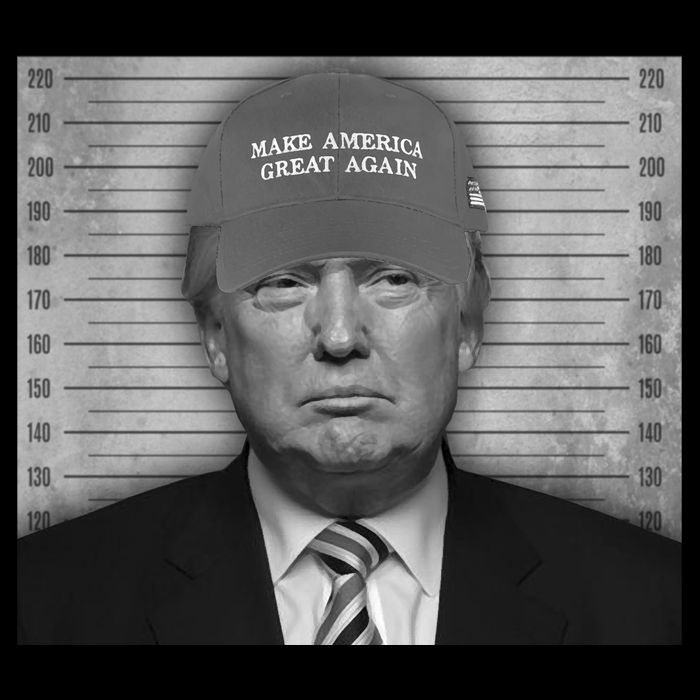 Donald Trump Mugshot Make America Great Again Cooling Performance Long Sleeve Crew