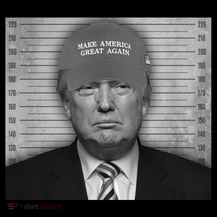 Donald Trump Mugshot Make America Great Again Wool Snapback Cap