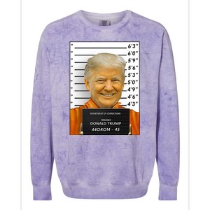 Donald Trump Mugshot Jail Prison Colorblast Crewneck Sweatshirt