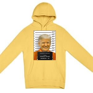 Donald Trump Mugshot Jail Prison Premium Pullover Hoodie