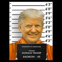 Donald Trump Mugshot Jail Prison Performance Shirt