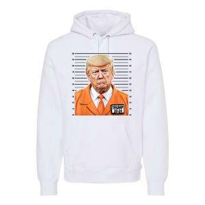 Donald Trump Mug Shot 2024 Orange Jail Suit Premium Hoodie