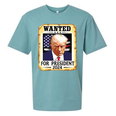 Donald Trump Mug Shot Wanted For Us President 2024 Sueded Cloud Jersey T-Shirt