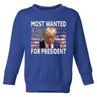 Donald Trump Most Wanted For President 2024 Toddler Sweatshirt