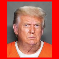 Donald Trump Mugshot MAGA 2024 Front & Back Garment-Dyed Heavyweight T-Shirt