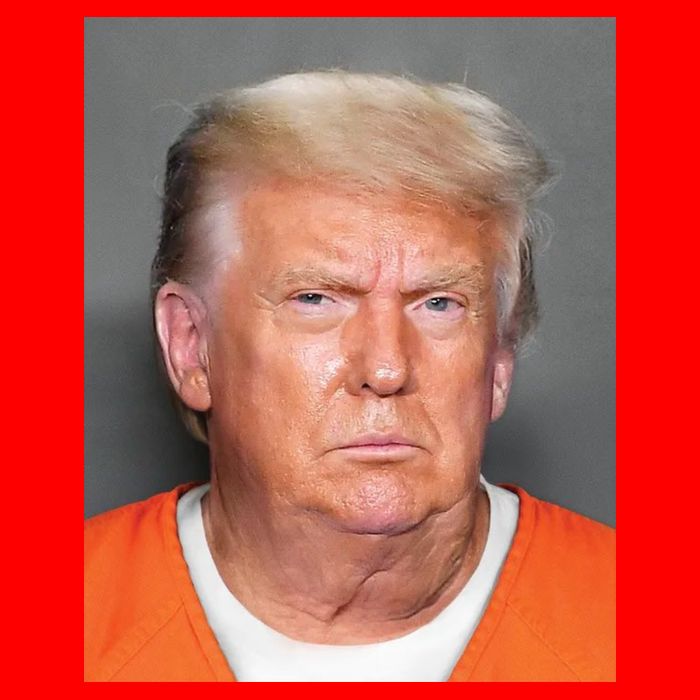 Donald Trump Mugshot MAGA 2024 Front & Back Garment-Dyed Heavyweight T-Shirt