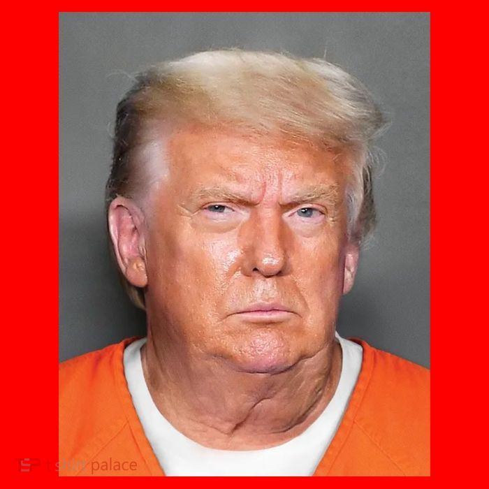 Donald Trump Mugshot MAGA 2024 Front & Back Womens T-Shirt