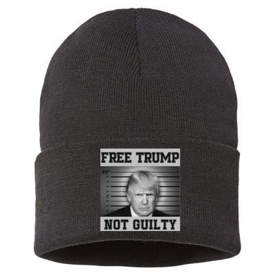 Donald Trump Mug Shot Legend Trump Mugshot 2024 Sustainable Knit Beanie