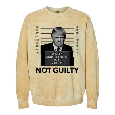 Donald Trump Mugshot Not Guilty Trump Supporter Colorblast Crewneck Sweatshirt