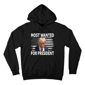 Donald Trump Most Wanted For President 2024 Pro Mugshot Hoodie