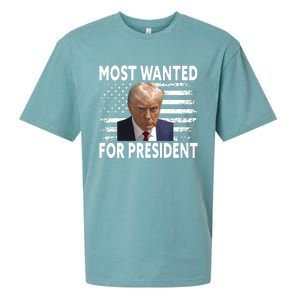 Donald Trump Most Wanted For President 2024 Pro Mugshot Sueded Cloud Jersey T-Shirt