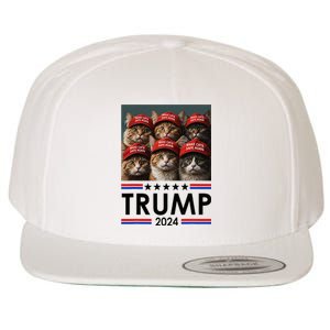 Donald Trump Make Cats Safe Again 2024 Wool Snapback Cap