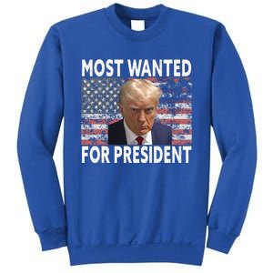 D.onald Trump Most Wanted For President 2024 Pro M.ugshot Sweatshirt