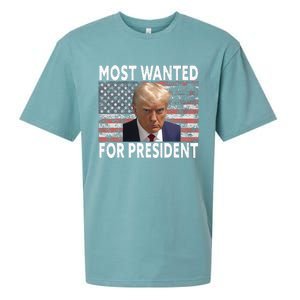 D.onald Trump Most Wanted For President 2024 Pro M.ugshot Sueded Cloud Jersey T-Shirt