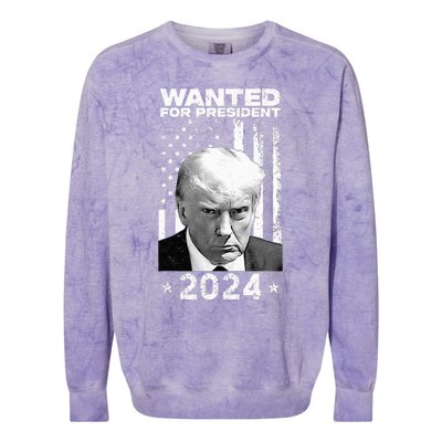 D.onald Trump Mug Shot Wanted For U.S. President 2024 Colorblast Crewneck Sweatshirt