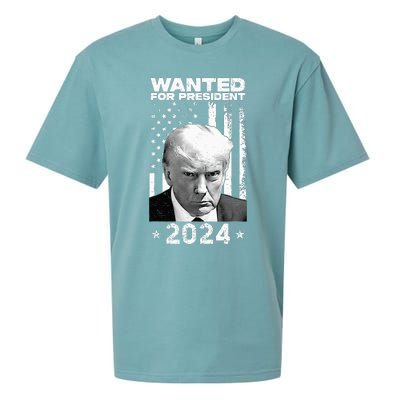 D.onald Trump Mug Shot Wanted For U.S. President 2024 Sueded Cloud Jersey T-Shirt