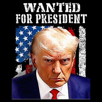 Donald Trump Mug Shot Wanted For U.S. President 2024 T-Shirt