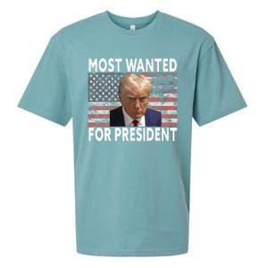 Donald Trump Most Wanted For President 2024 Pro Mugshot Sueded Cloud Jersey T-Shirt