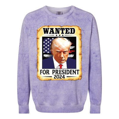 Donald Trump Mug Shot Wanted For Us President 2024 Colorblast Crewneck Sweatshirt