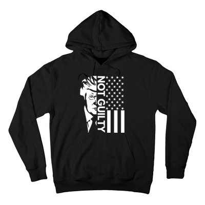 Donald Trump Mugshot 2024 Not Guilty Supporter Usa Flag Hoodie