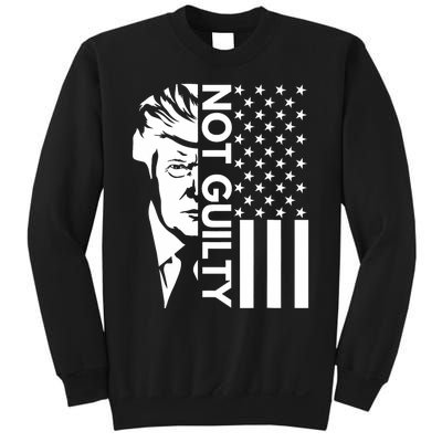 Donald Trump Mugshot 2024 Not Guilty Supporter Usa Flag Sweatshirt