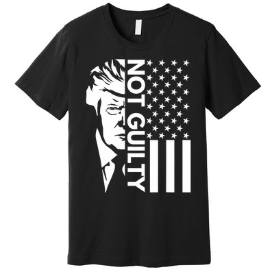 Donald Trump Mugshot 2024 Not Guilty Supporter Usa Flag Premium T-Shirt