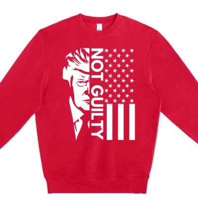 Donald Trump Mugshot 2024 Not Guilty Supporter Usa Flag Premium Crewneck Sweatshirt