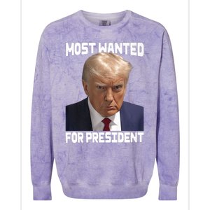 Donald Trump Most Wanted For President 2024 For America Colorblast Crewneck Sweatshirt