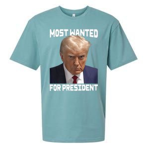 Donald Trump Most Wanted For President 2024 For America Sueded Cloud Jersey T-Shirt