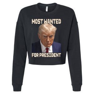 Donald Trump Most Wanted For President 2024 Pro Trump Cropped Pullover Crew