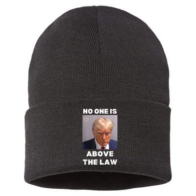 Donald Trump Mug Shot No One Is Above The Law AntiTrump Sustainable Knit Beanie