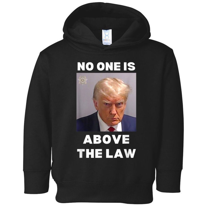 Donald Trump Mug Shot No One Is Above The Law AntiTrump Toddler Hoodie