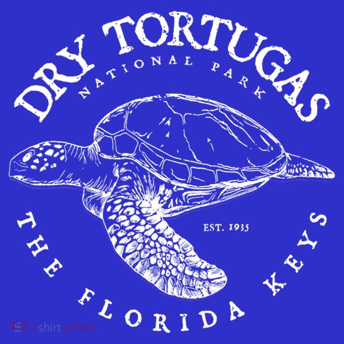 Dry Tortugas National Park Florida Keys Scuba Diving Turtle Gift Kids T-Shirt