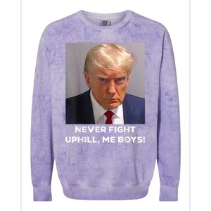 Donald Trump Never Fight Uphill Me Trump 2024 Colorblast Crewneck Sweatshirt