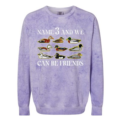 Duck Types Name 3 We Can Be Friends Colorblast Crewneck Sweatshirt