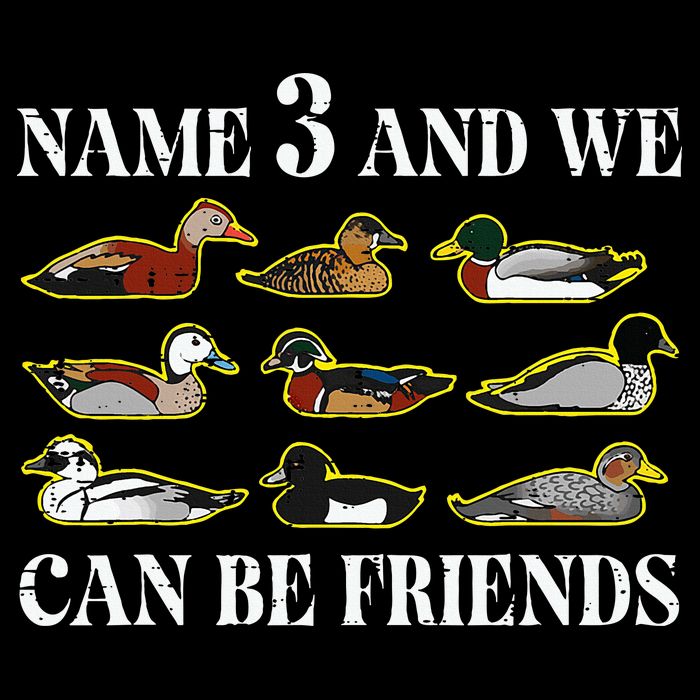Duck Types Name 3 We Can Be Friends Bucket Hat