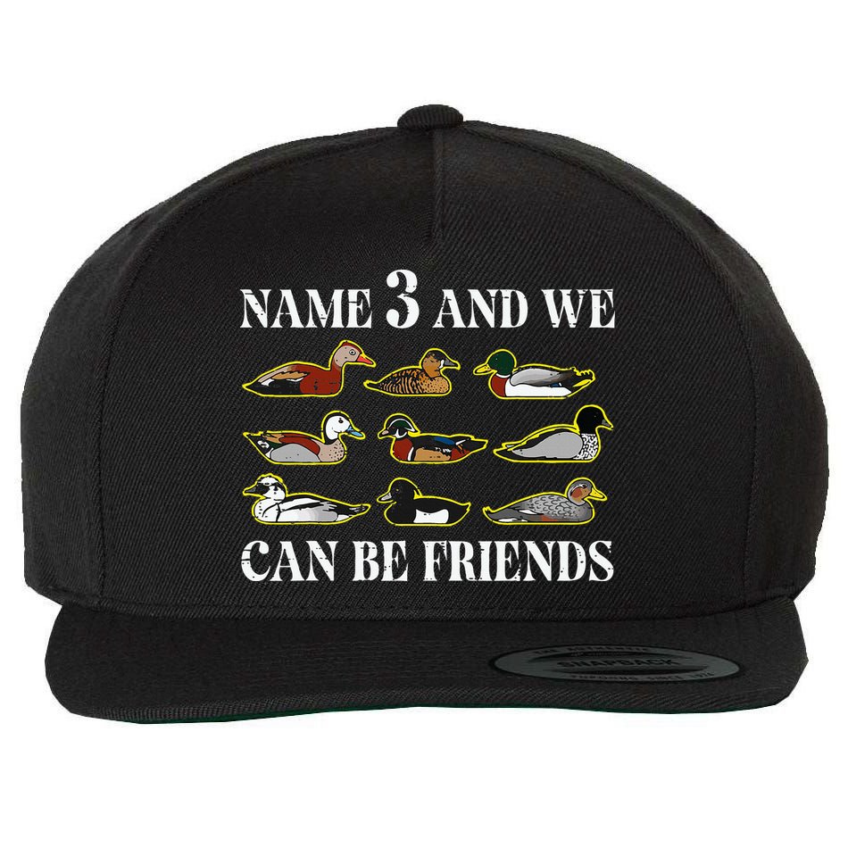 Duck Types Name 3 We Can Be Friends Wool Snapback Cap